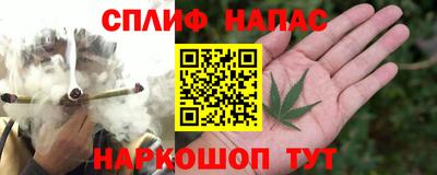 гашик Свободный