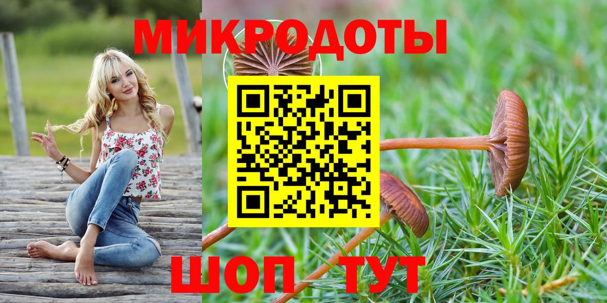 Псилоцибиновые грибы Cubensis Павлово