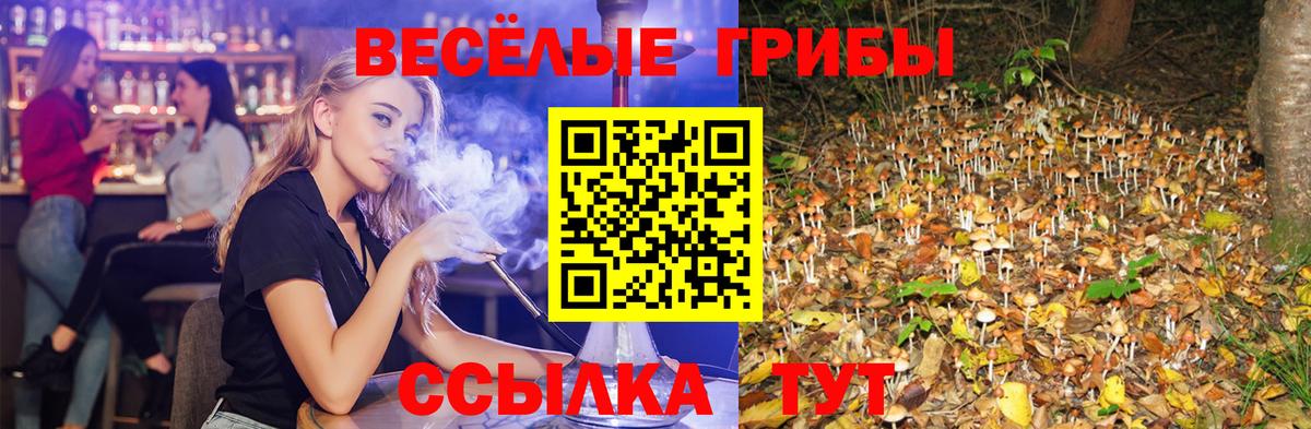 Псилоцибиновые грибы GOLDEN TEACHER  Вход с VPN  Псилоцибиновые грибы MAGIC MUSHROOMS  Павлово 